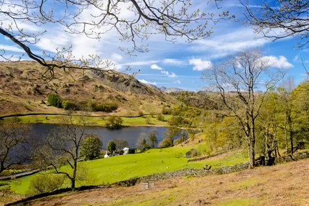 Scenic landscape of a lake surrounded by grassy hills and sparse trees under a partly cloudy blue sky