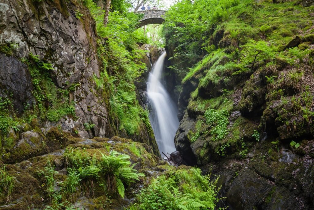 IMG_0010 Aira Force and Gowbarrow Park Trails