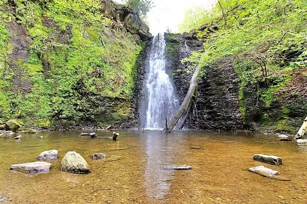 a waterfall in a forest