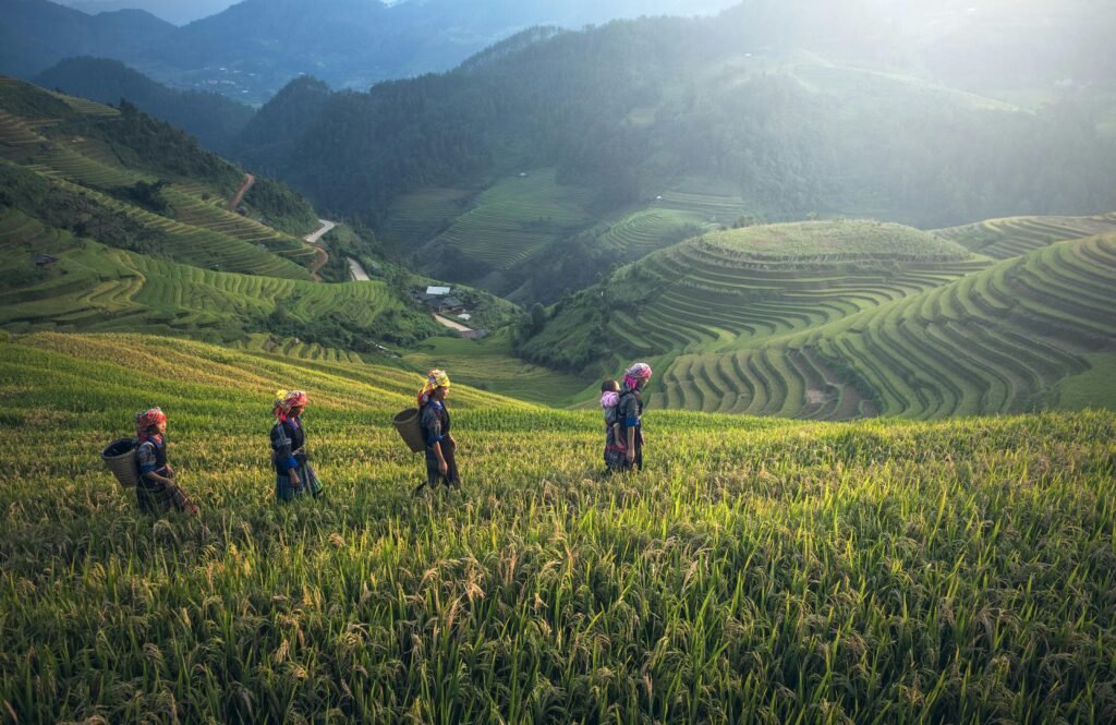 Four people wearing traditional clothing and headscarves walking in a line through lush green terraced rice fields on a hillside, with mountains and more terraces in the background under soft sunlight